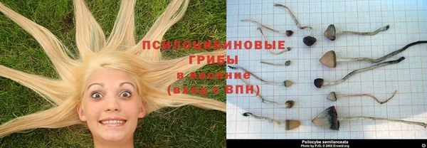 альфа пвп VHQ Богородск