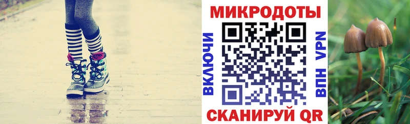 Галлюциногенные грибы Magic Shrooms  KRAKEN зеркало  Ачхой-Мартан 