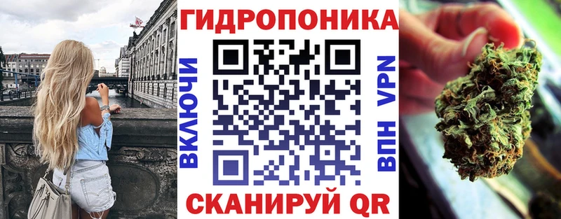 omg как войти  Ачхой-Мартан  Канабис OG Kush  цена  